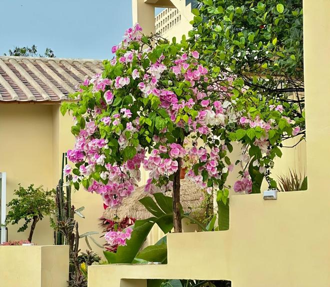 海亲子游5天4晚价格跟团五日游报价开元棋牌北海亲子跟团游多少钱?北(图2) 海亲子游5天4晚价格跟团五日游报价开元棋牌北海亲子跟团游多少钱?北(图2)