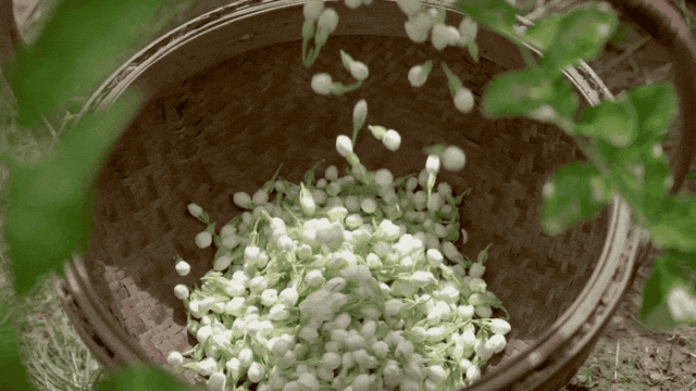 被抢空的牌子这次居然100+就能拥有开元棋牌试玩真爱大牌返场 一上线就(图17)