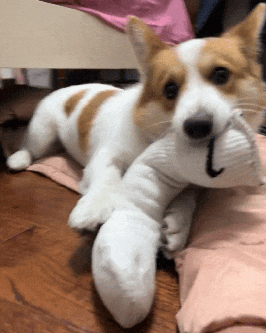 ！几千欧的东西说用就用开元棋牌也是好起来了(图20)